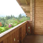شبيغل هولزمان شقة *