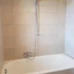 شقة شبيغل هولزمان
