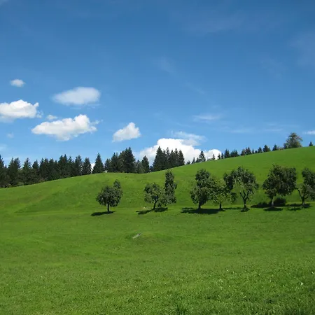 Appartement Spiegl Holzmann *