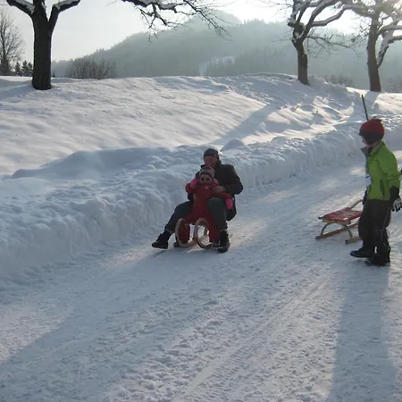 Spiegl Holzmann Appartement