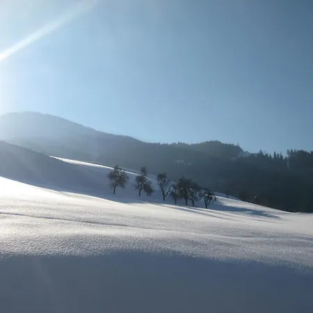 Spiegl Holzmann Bischofshofen